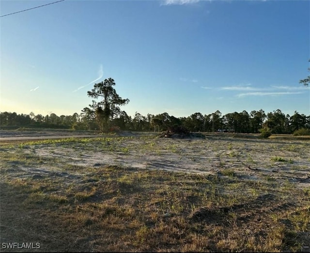 Listing photo 2 for 1103 Antonio St E, Lehigh Acres FL 33974