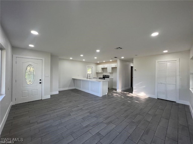 interior space featuring dark wood-type flooring and sink