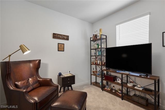 living area with light colored carpet