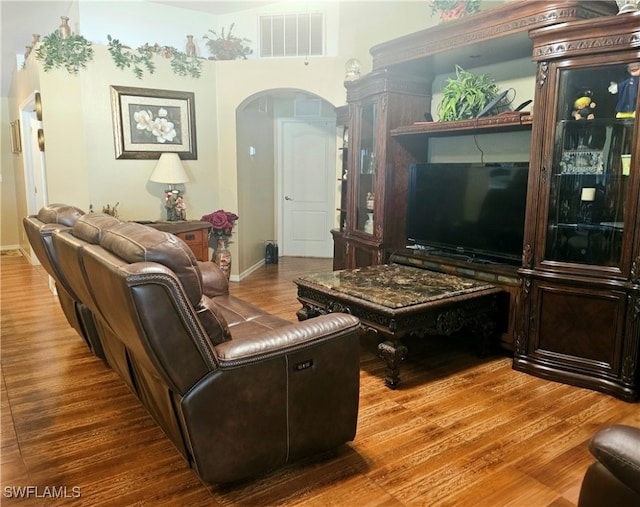 living room featuring hardwood / wood-style floors