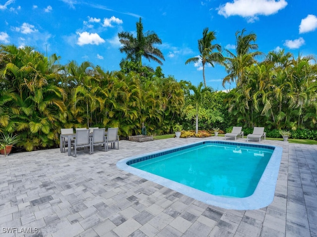 view of pool with a patio