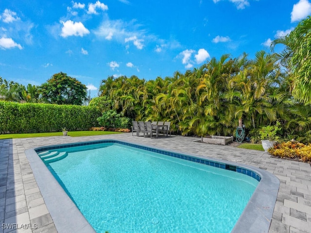 view of pool with a patio area