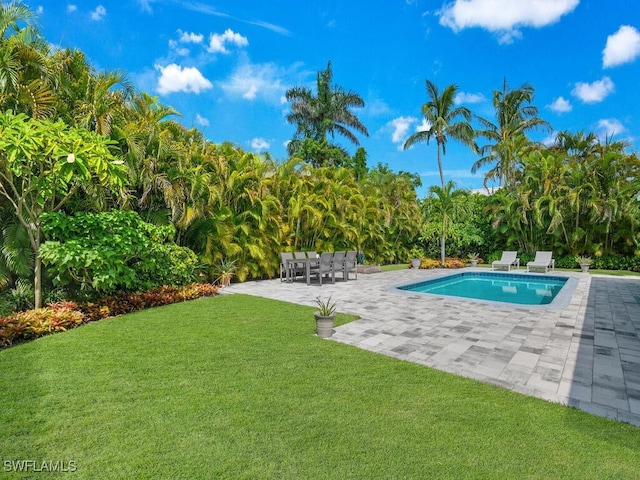 view of swimming pool with a patio, an outdoor bar, and a lawn