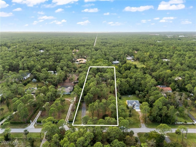 aerial view of property and surrounding area featuring a heavily wooded area and property parcel outlined