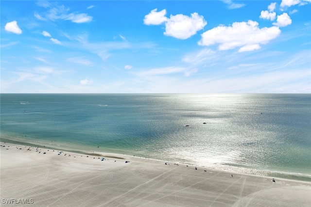 view of water feature featuring a view of the beach