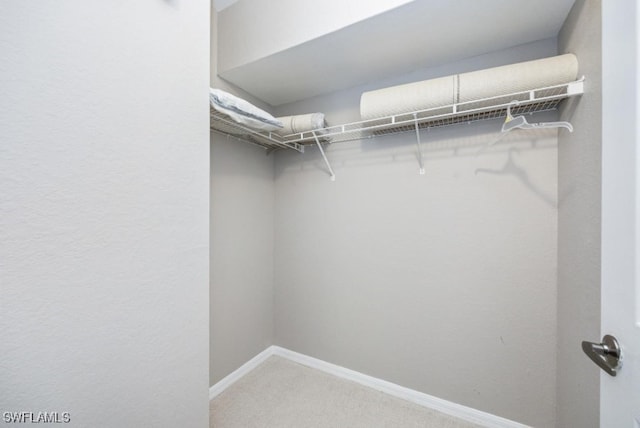 4625 Saint Croix Ln Unit 1132, Naples, FL 34109 - spacious closet featuring light carpet