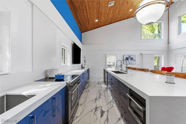 kitchen featuring a wealth of natural light, sink, high vaulted ceiling, and wooden ceiling