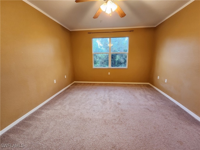 unfurnished room featuring ceiling fan, carpet flooring, and crown molding