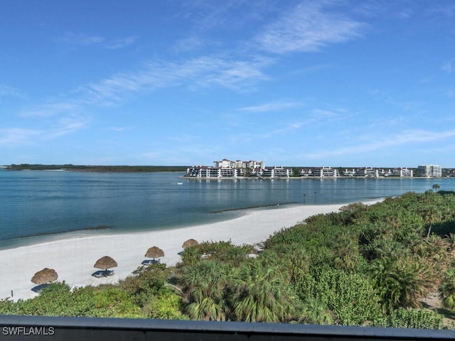 view of water feature with a beach view