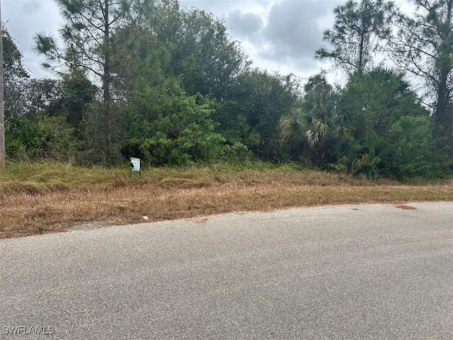 528 Brue Ave S, Lehigh Acres FL, 33974 land for sale