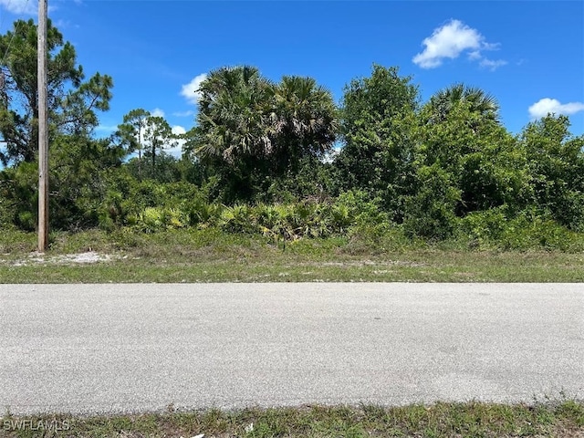 528 Brue Ave S, Lehigh Acres, FL 33974