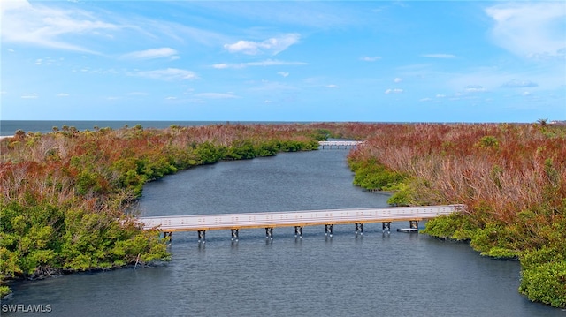 drone / aerial view with a water view