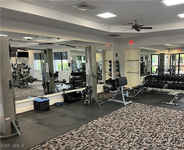 workout area featuring ceiling fan and a paneled ceiling