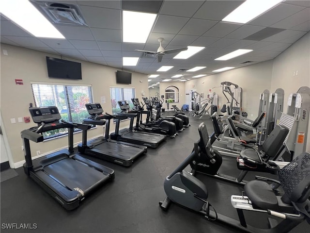 workout area with a drop ceiling and ceiling fan