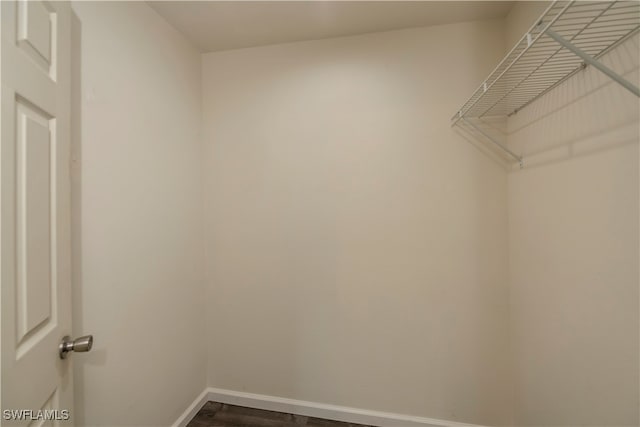 spacious closet featuring hardwood / wood-style floors