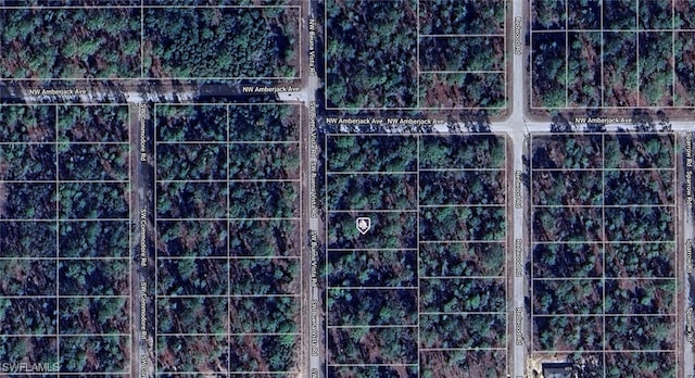 1815-012-003 NW Bueva Vista Rd, Dunnellon FL, 34431 land for sale