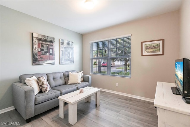 living room featuring hardwood / wood-style floors