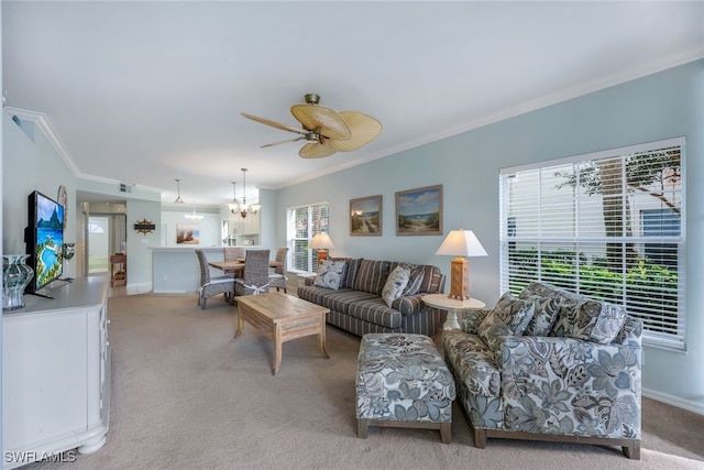 carpeted living room with ceiling fan with notable chandelier and ornamental molding