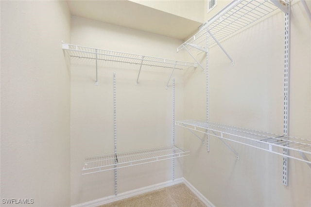 spacious closet featuring carpet flooring