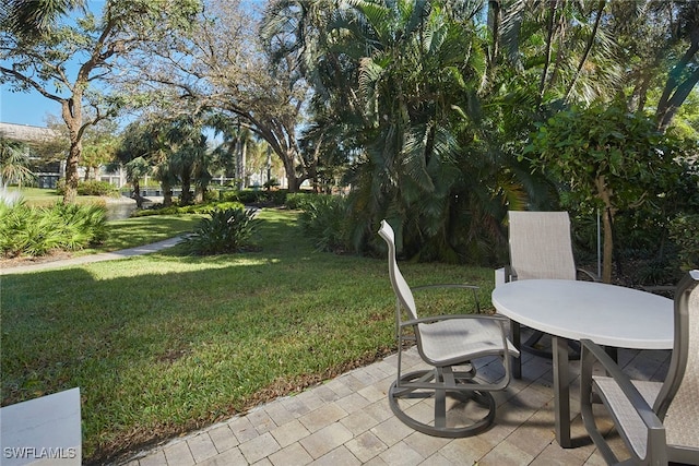 view of yard featuring a patio area