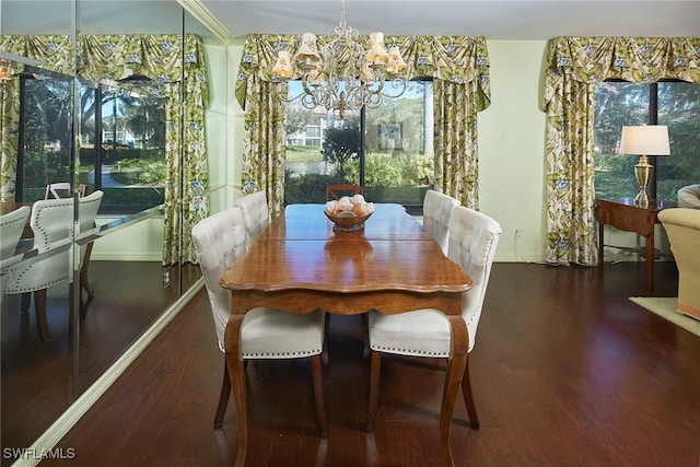 dining room featuring dark hardwood / wood-style flooring and plenty of natural light