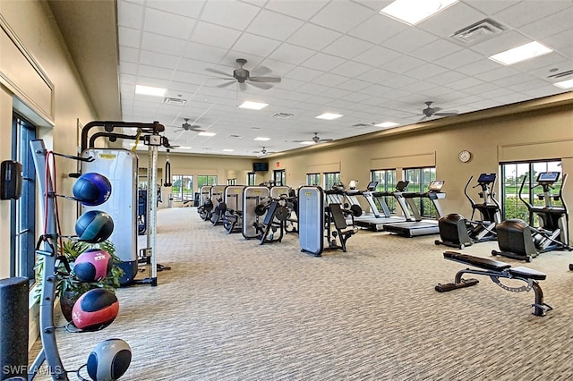 workout area featuring carpet and a drop ceiling