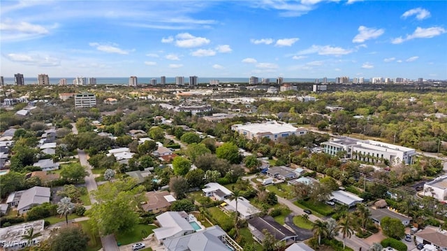 bird's eye view with a city view