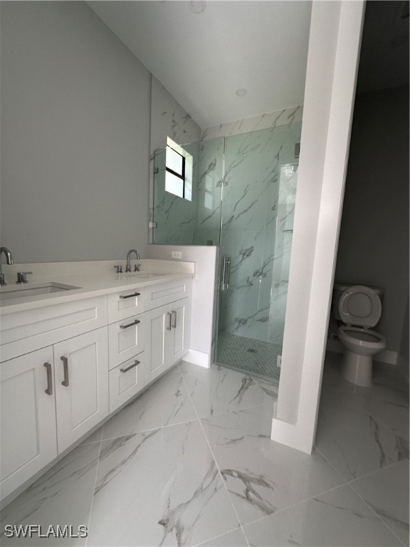 bathroom with vanity, toilet, and an enclosed shower