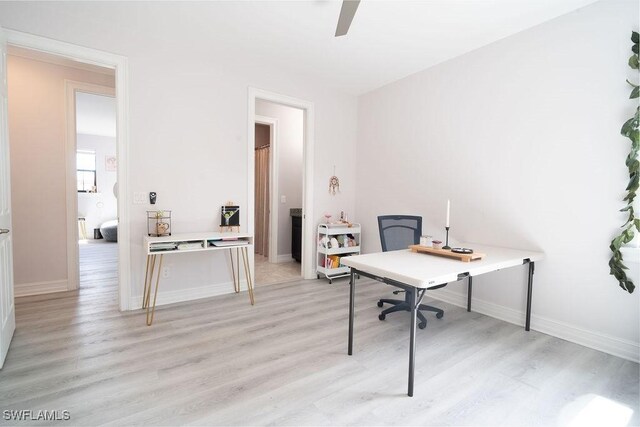 office space featuring light hardwood / wood-style floors and ceiling fan