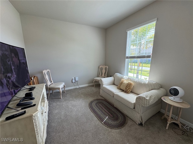 living area with carpet floors