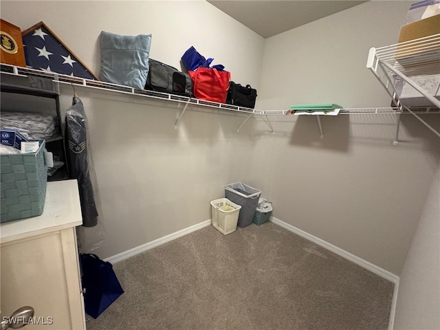 walk in closet featuring carpet