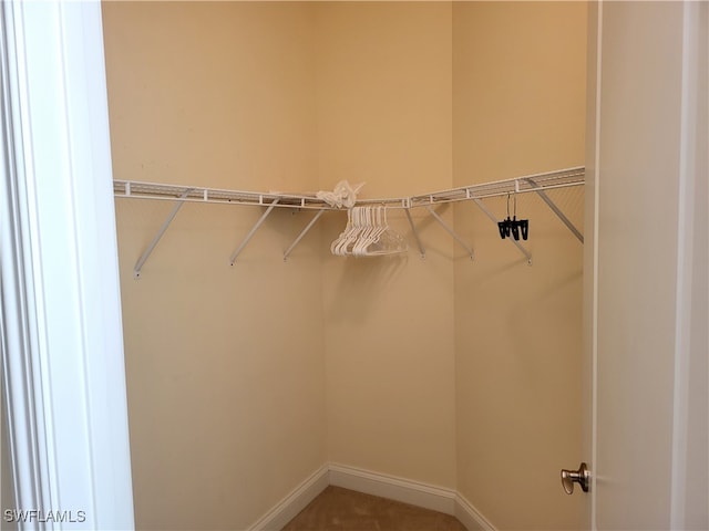 view of walk in closet