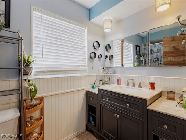 bathroom with toilet and vanity