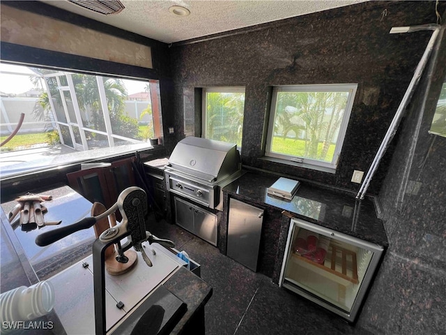 interior space with an outdoor kitchen, a lanai, and a grill