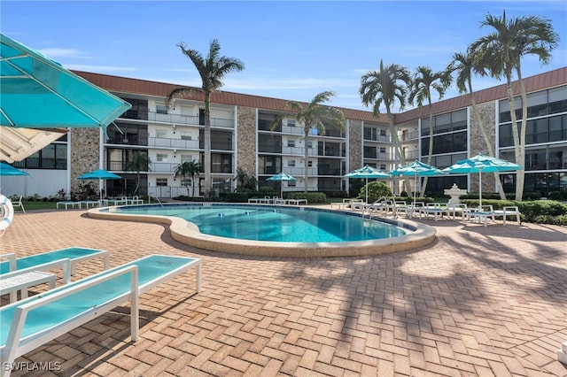 view of swimming pool