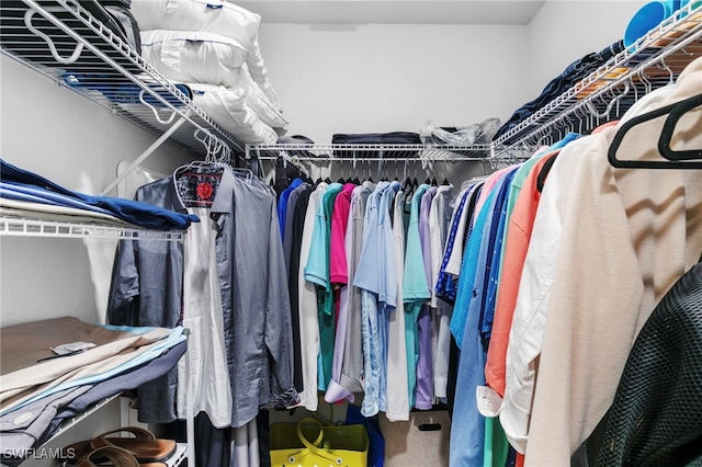 view of spacious closet