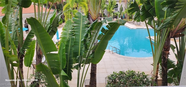 view of pool featuring a patio area