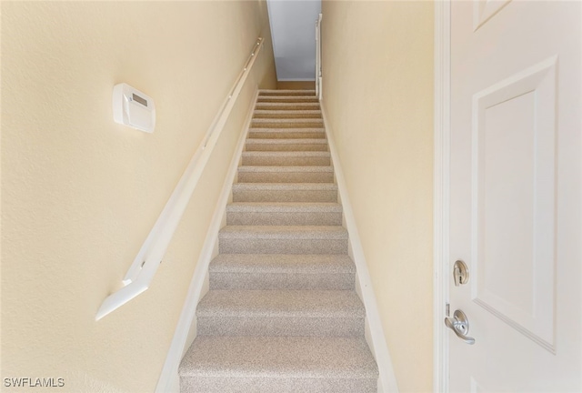 staircase with carpet floors