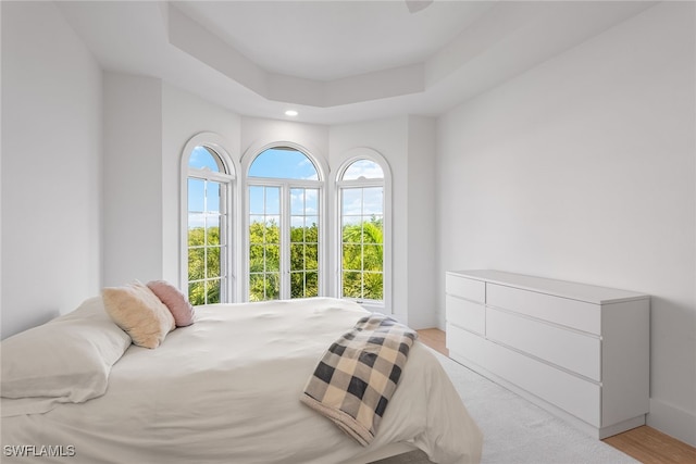 bedroom with light hardwood / wood-style floors and a tray ceiling