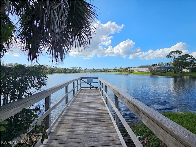 dock area with a water view