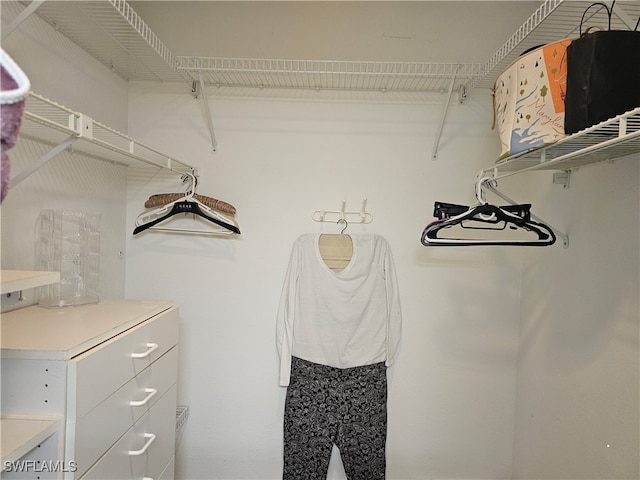 view of walk in closet