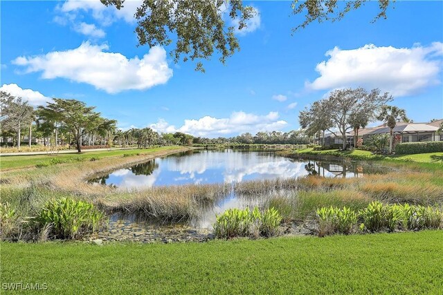 property view of water