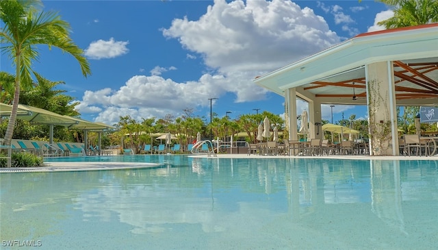 view of swimming pool