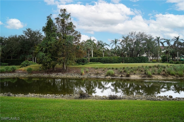 view of water feature