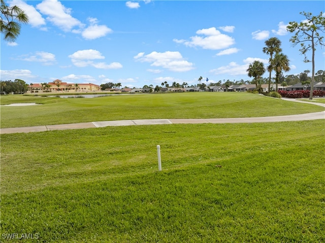 view of community featuring a yard