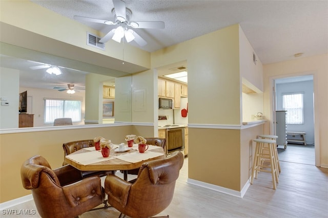 dining space featuring a wealth of natural light, a textured ceiling, and light hardwood / wood-style flooring