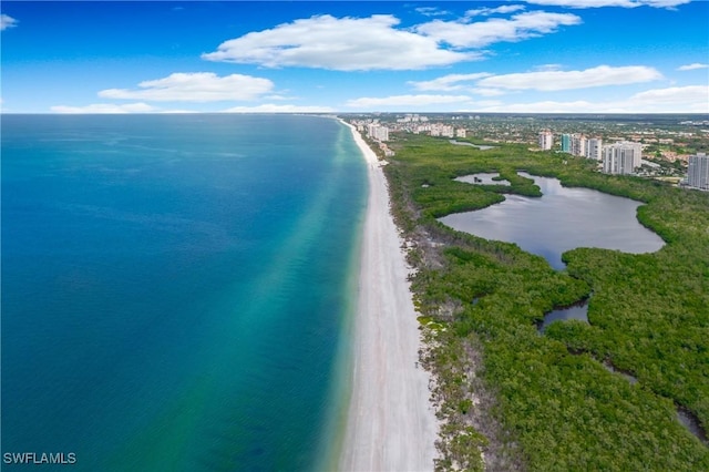 drone / aerial view with a water view and a view of the beach