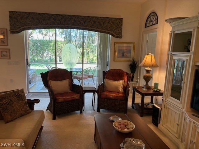 living area with light colored carpet