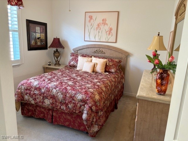 bedroom with carpet floors