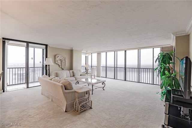 living room with light colored carpet, a healthy amount of sunlight, and floor to ceiling windows